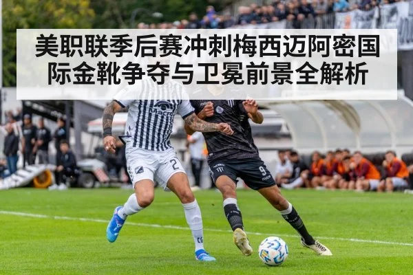 soccer stadium match action